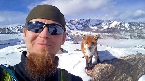 Me and a Fox in Gran Paradiso